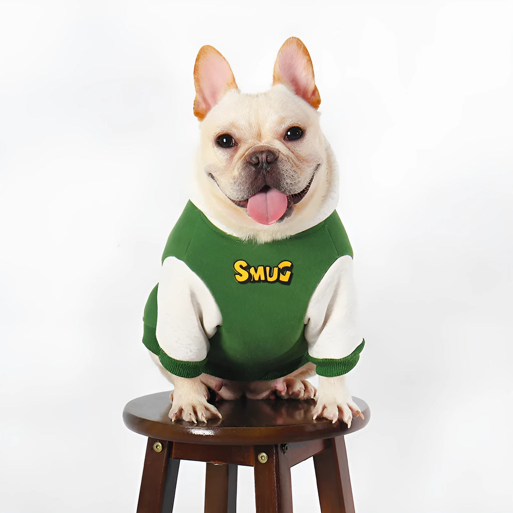 Green cotton dog jumper for winter, available in sizes L, XL, 2XL, 3XL and 4XL.