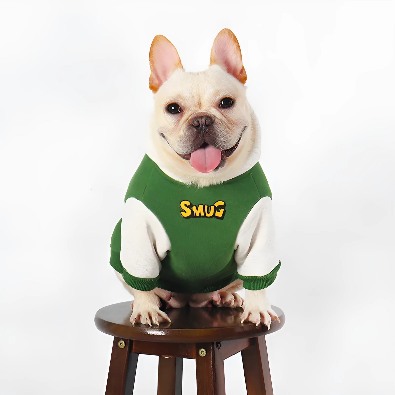 Green cotton dog jumper for winter, available in sizes L, XL, 2XL, 3XL and 4XL.