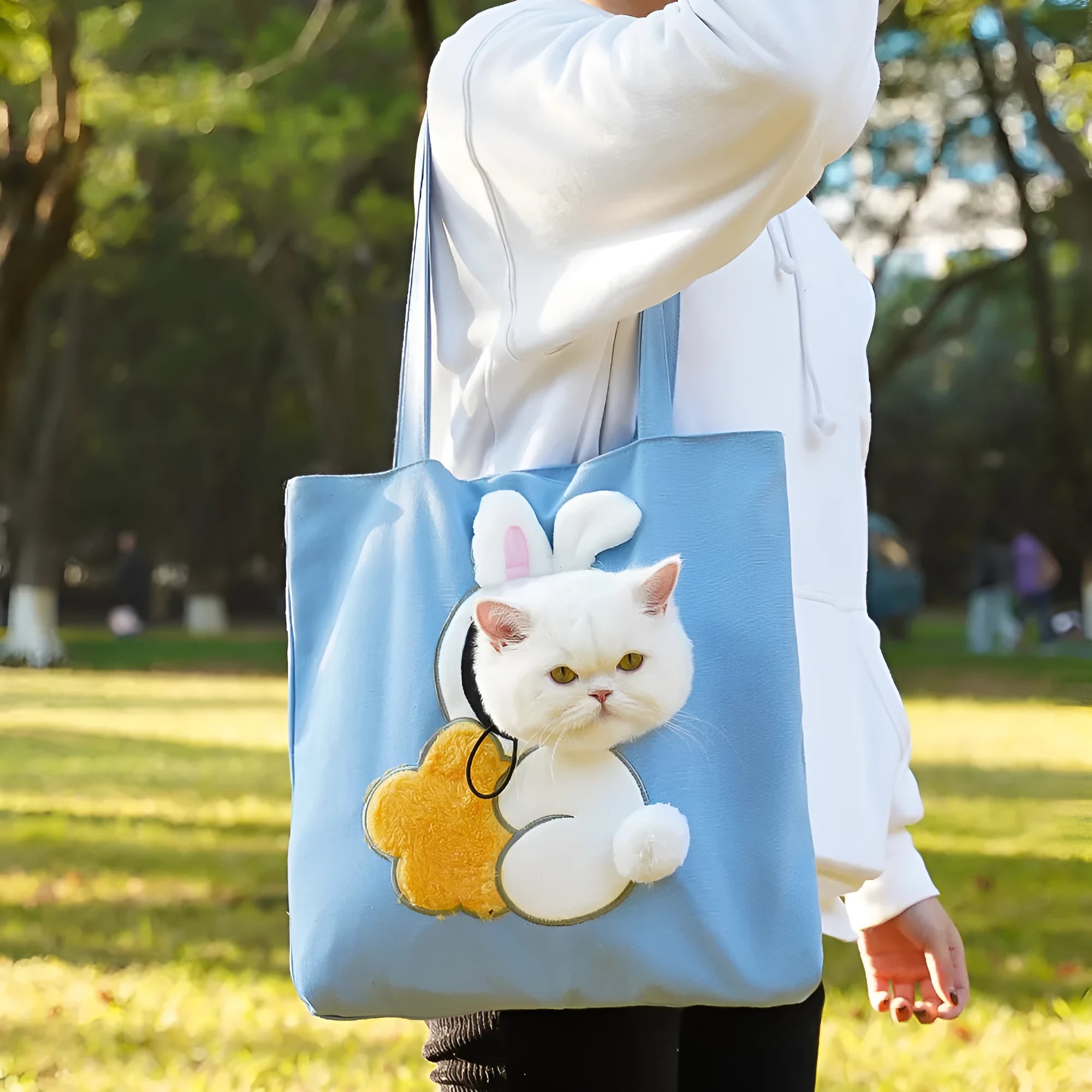 Canvas pet carrier shoulder bag with cartoon pattern for cats and small dogs