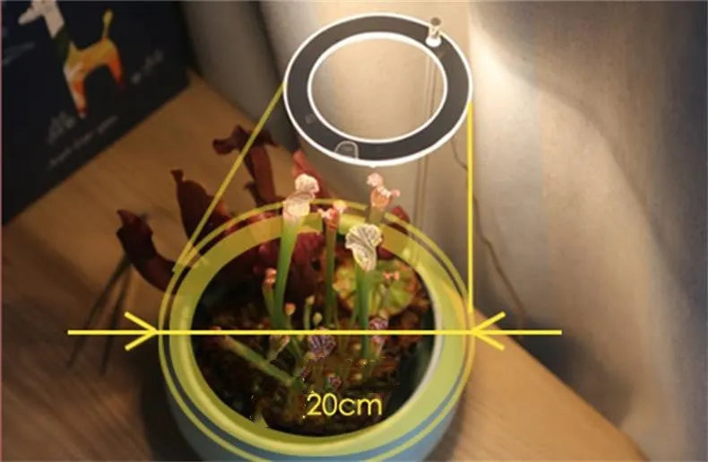 USB LED plant grow light with acrylic stick showing pink/white or yellow colour options