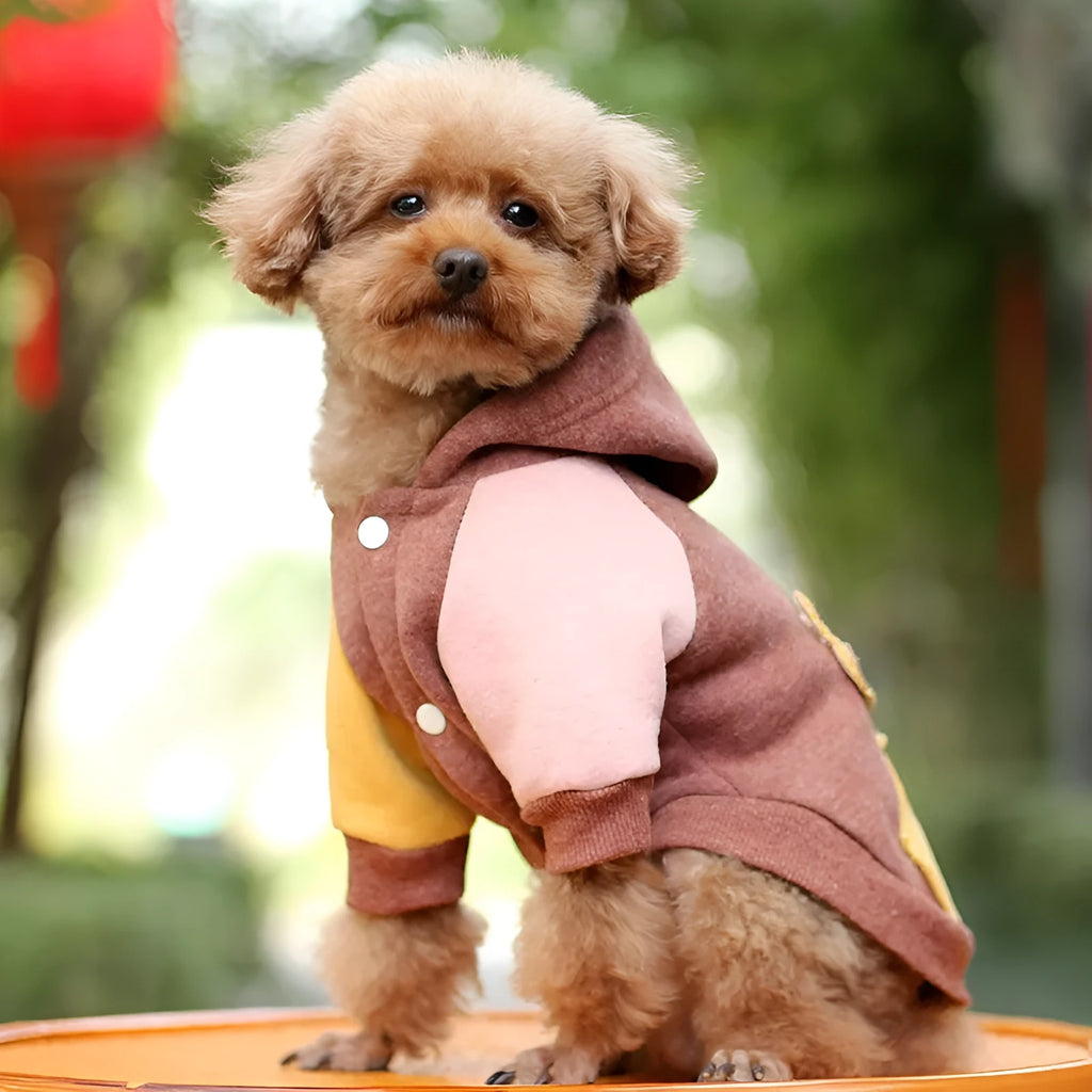 Brown cotton dog sweatshirt on a pet, showing casual fit and soft fabric texture.