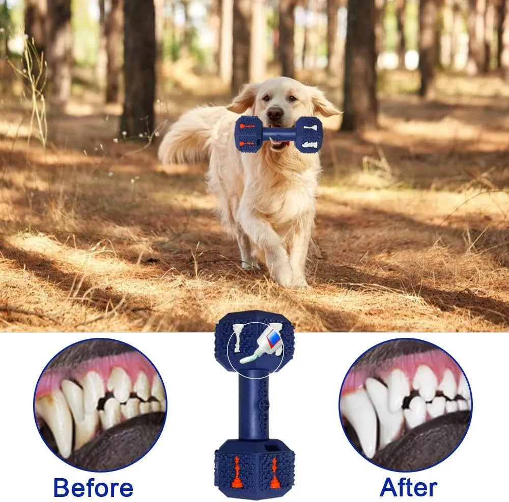 Blue durable rubber dumbbell dog chew toy with textured surface for dental cleaning.
