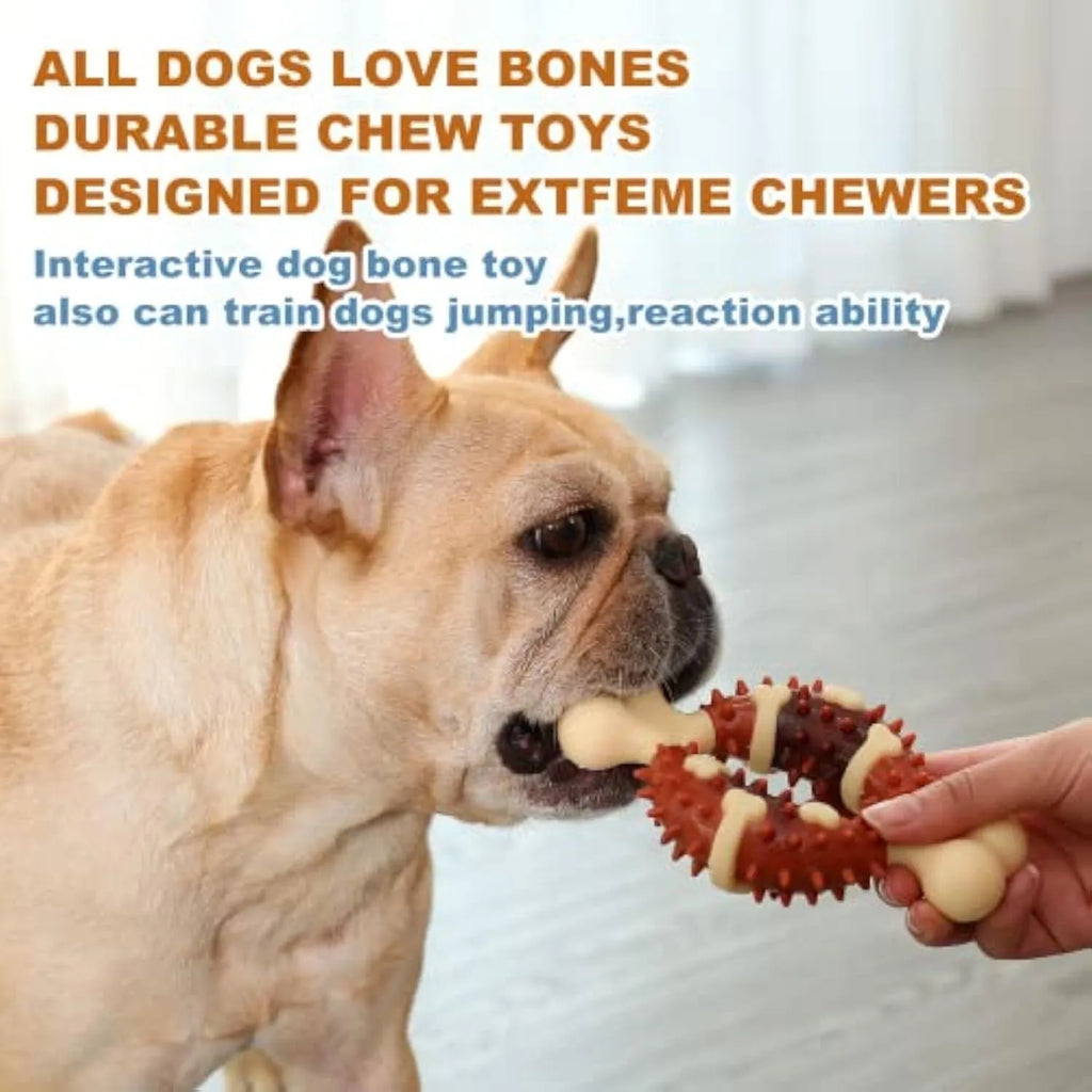 Bone-shaped natural rubber dog molar toy for teeth grinding in two sizes