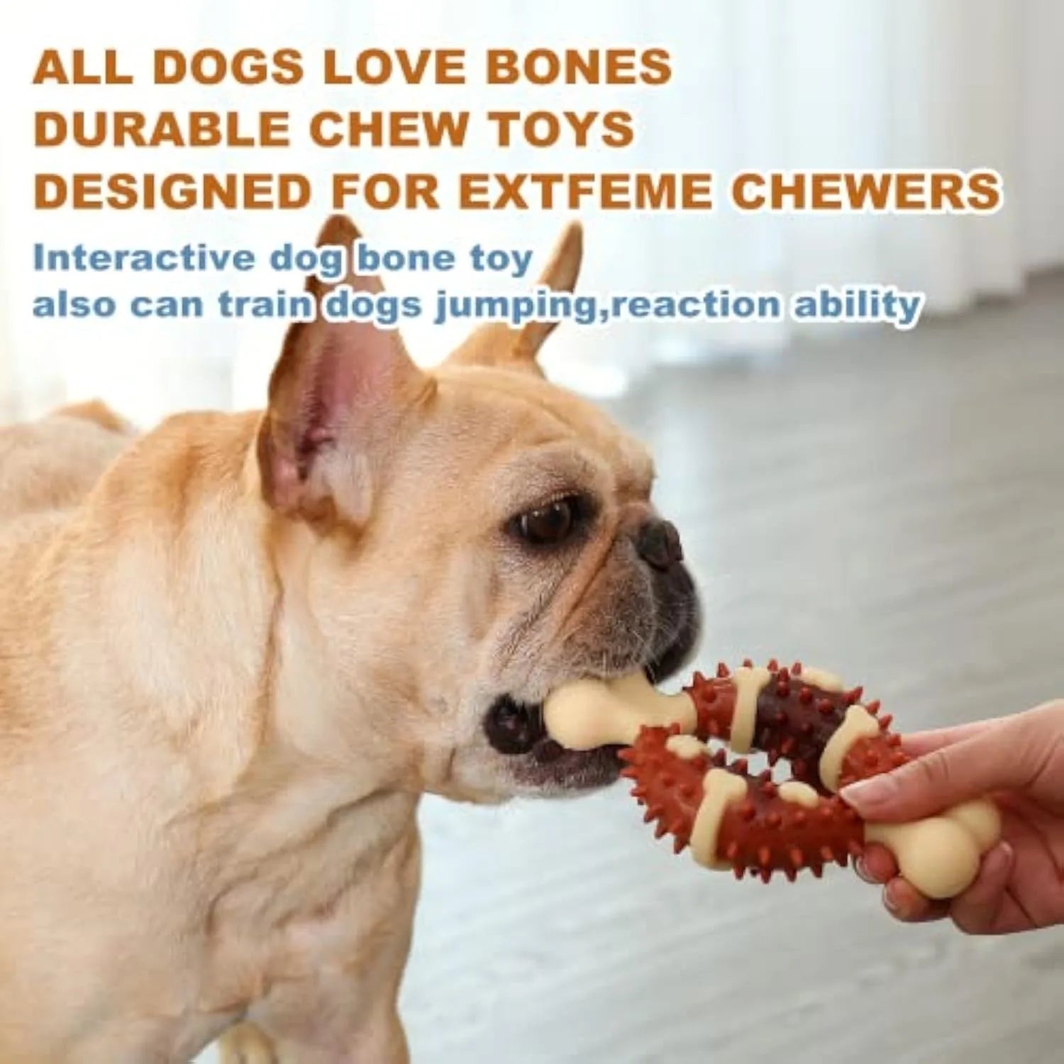 Bone-shaped natural rubber dog molar toy for teeth grinding in two sizes