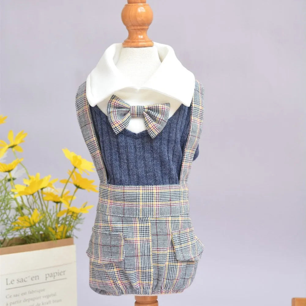 Orange and dark blue cotton shirt for small dogs on a size chart showing S, M, L, XL, 2XL