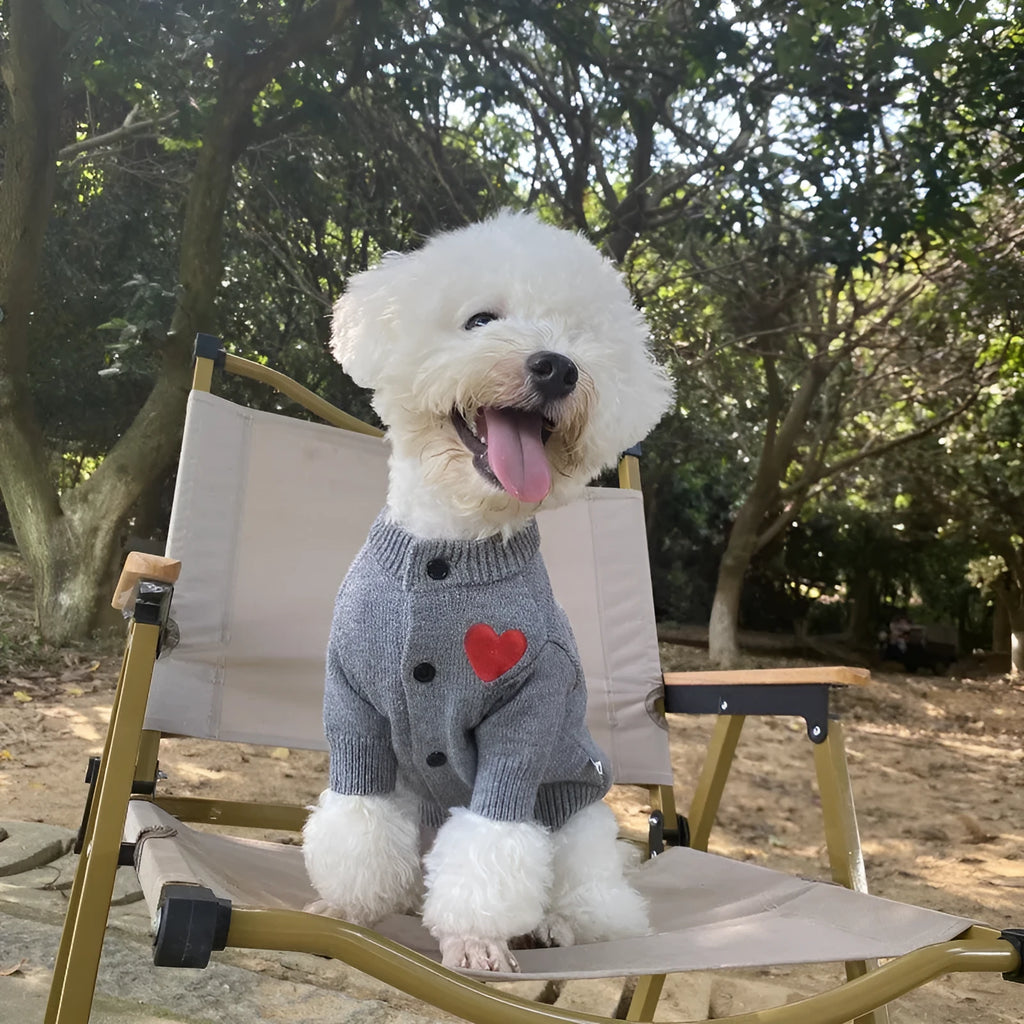 Wool pet sweater cardigan in solid colour for small to medium dogs and cats, available in three colours
