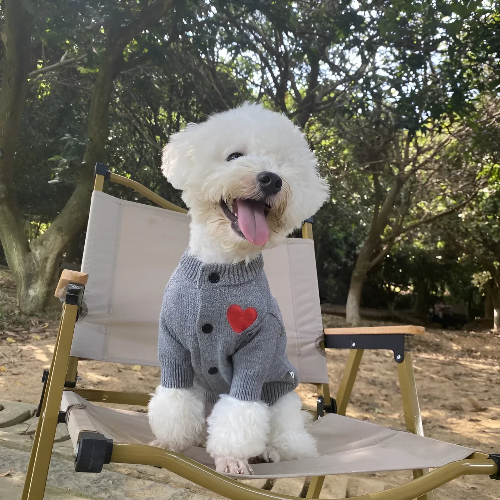 Wool pet sweater cardigan in solid colour for small to medium dogs and cats, available in three colours