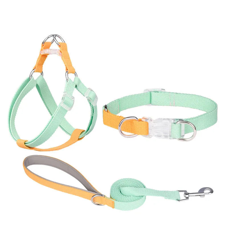 Polyester dog collar and leash set with chest strap in green and pink colour combination