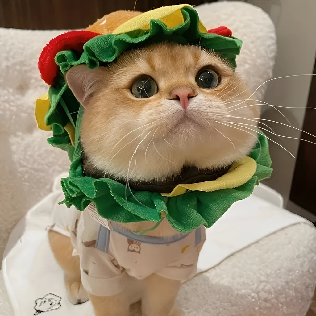 Cat wearing adjustable burger headdress collar with printed food details