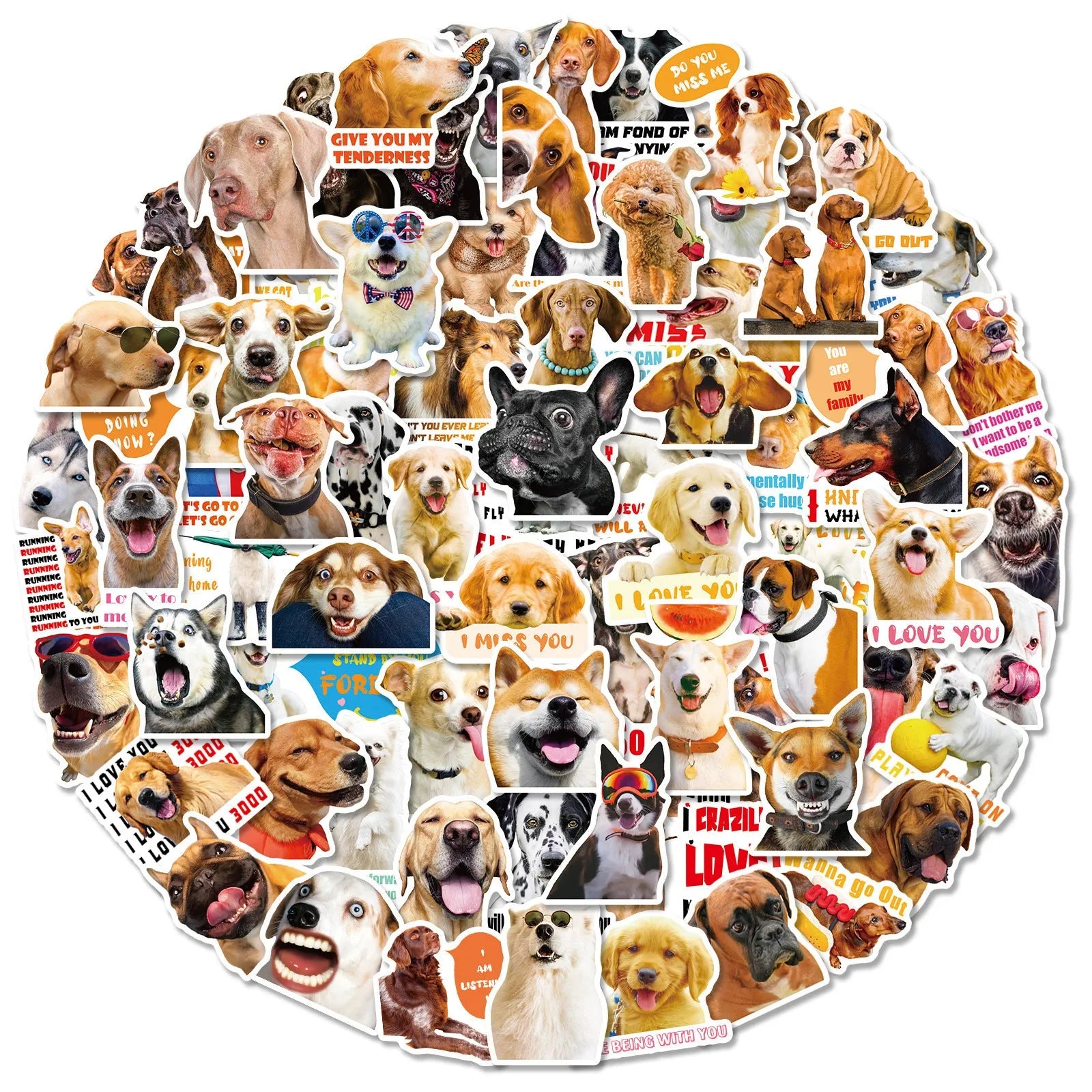 Realistic dog facial expression sticker pack with 100 sheets in Nordic style animal designs