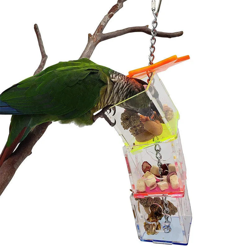 Transparent acrylic parrot foraging toy measuring 5x5x32cm for food containment