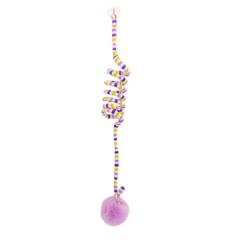 Kitten playing with a spring-mounted hanging ball toy attached to a door by a suction cup.