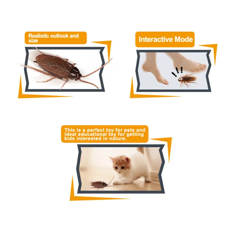 Colourful vibrating cockroach, tarantula, mouse, and dragonfly pet toys for cats and dogs.