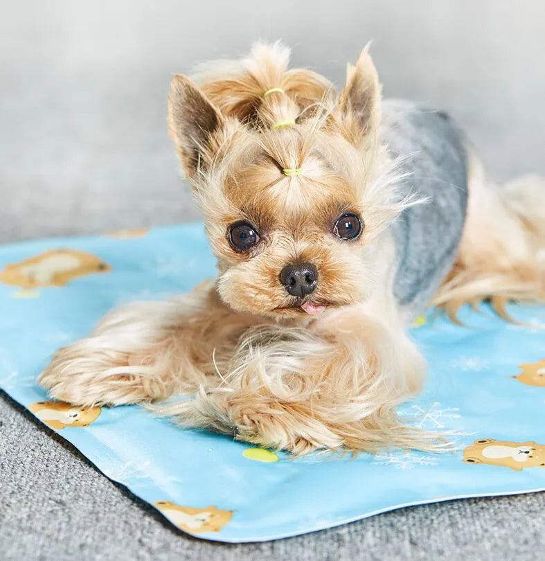 Pet cooling mat in grey, 40x30cm, PVC polyester cloth with ice gel filling for small kittens and puppies