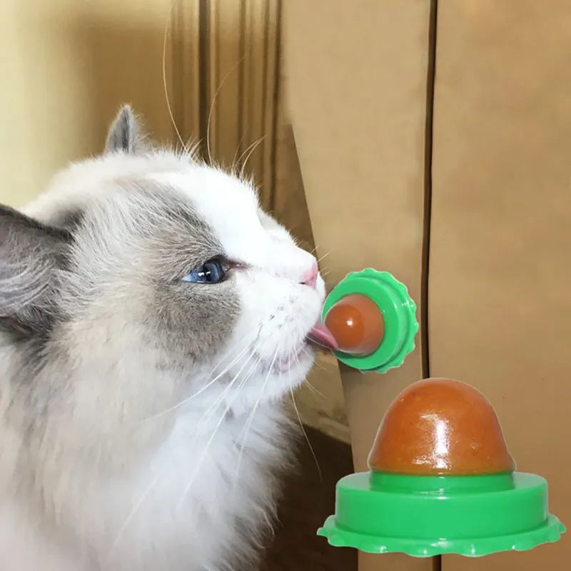 Green and blue cat energy ball lick toy with non-toxic catnip and yellowfish gelatin for indoor cats