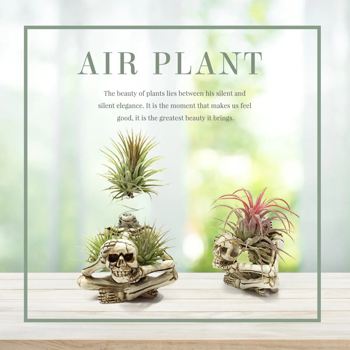 Gothic style resin Tillandsia bracket with skull decoration for air plants, measuring 7cm by 8cm by 12.5cm.