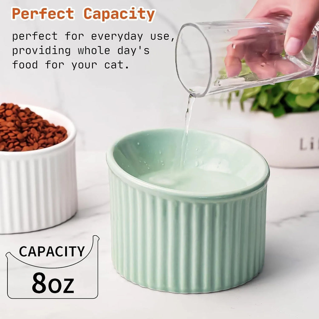Ceramic elevated cat bowl in green, showing tilted round dish on a raised stand.