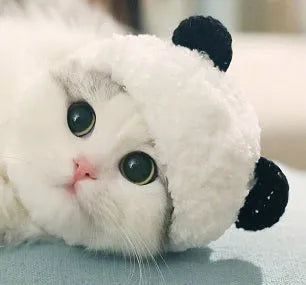 White wool panda costume pet hat for cats and small dogs, size S and M options