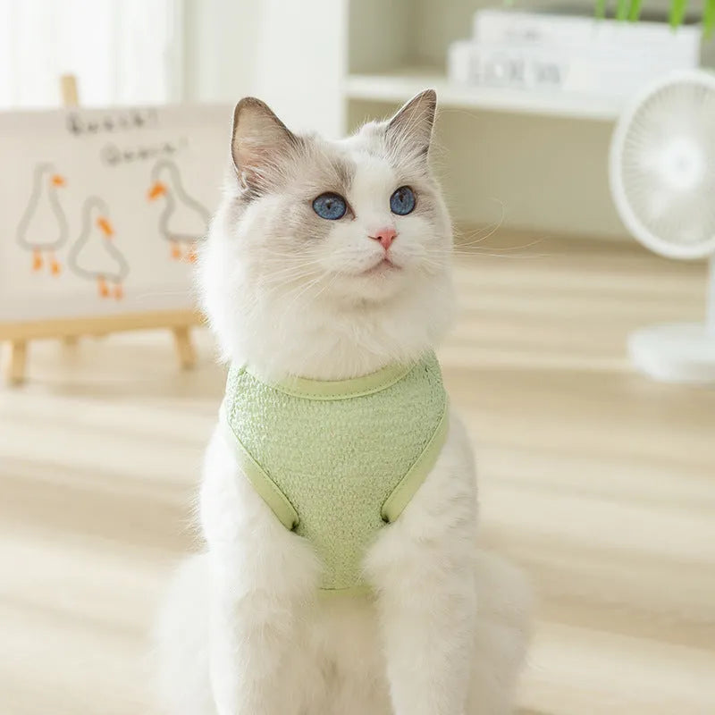 Green knitted cat clothes with a hollowed-out design and a cartoon bear patch.