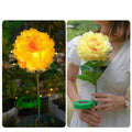 Solar landscape lamp peony simulation IP65 LED 730mm pink light yellow jade white