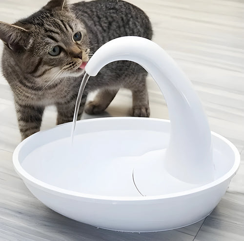 Automatic pet water dispenser with fountain flow, 2.36L plastic, silent pump