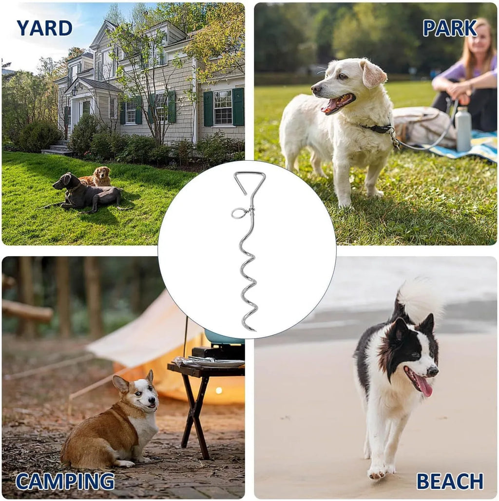 Silver spiral dog tie out stake for ground anchoring in sandy soil conditions