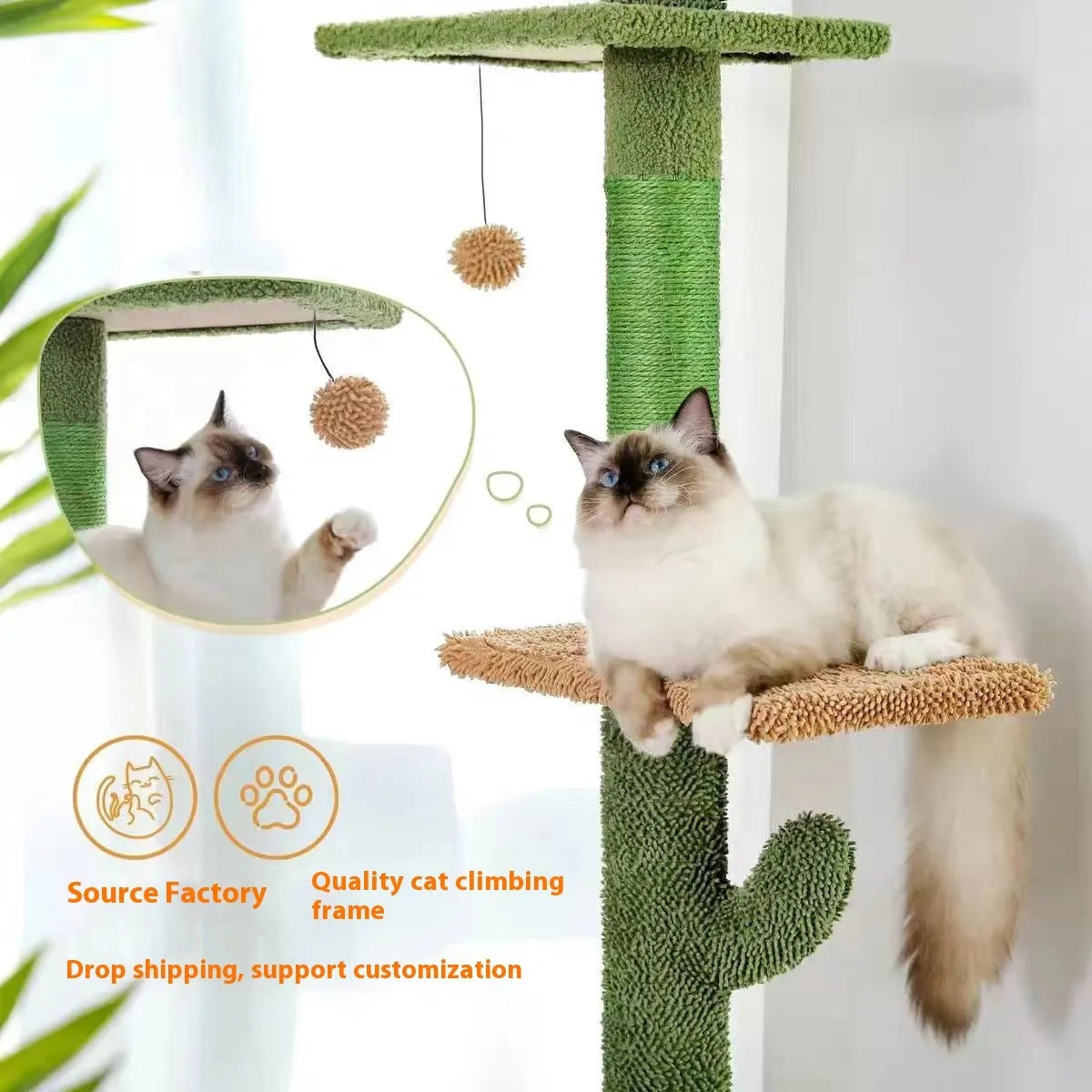 Solid wood cat climbing frame with integrated scratch board measuring 240-260cm tall