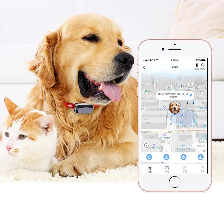 Beidou GPS pet positioning collar in black with LED light and nylon strap for dogs and cats