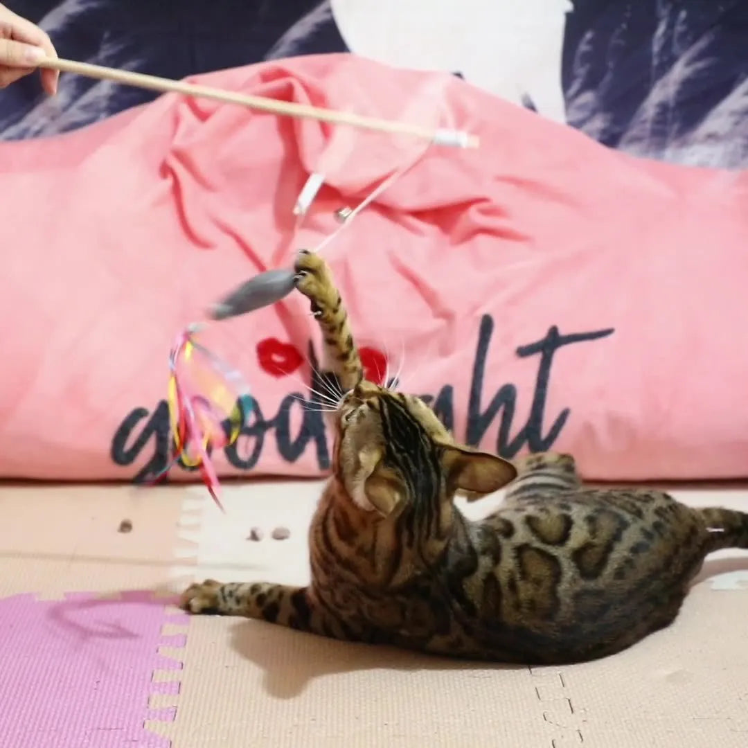 Cat wand toy with wooden handle, colourful ribbons, catnip fish and bell for indoor cats
