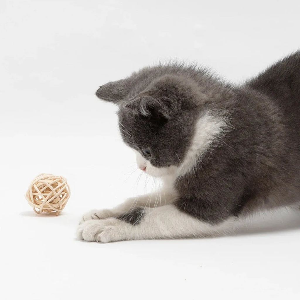 Primary colour rattan ball and faux feather ball cat toys for interactive pet play
