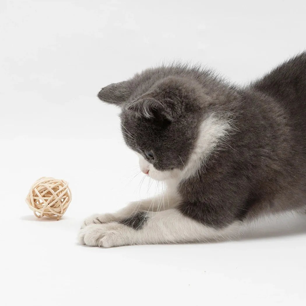 Primary colour rattan ball and faux feather ball cat toys for interactive pet play