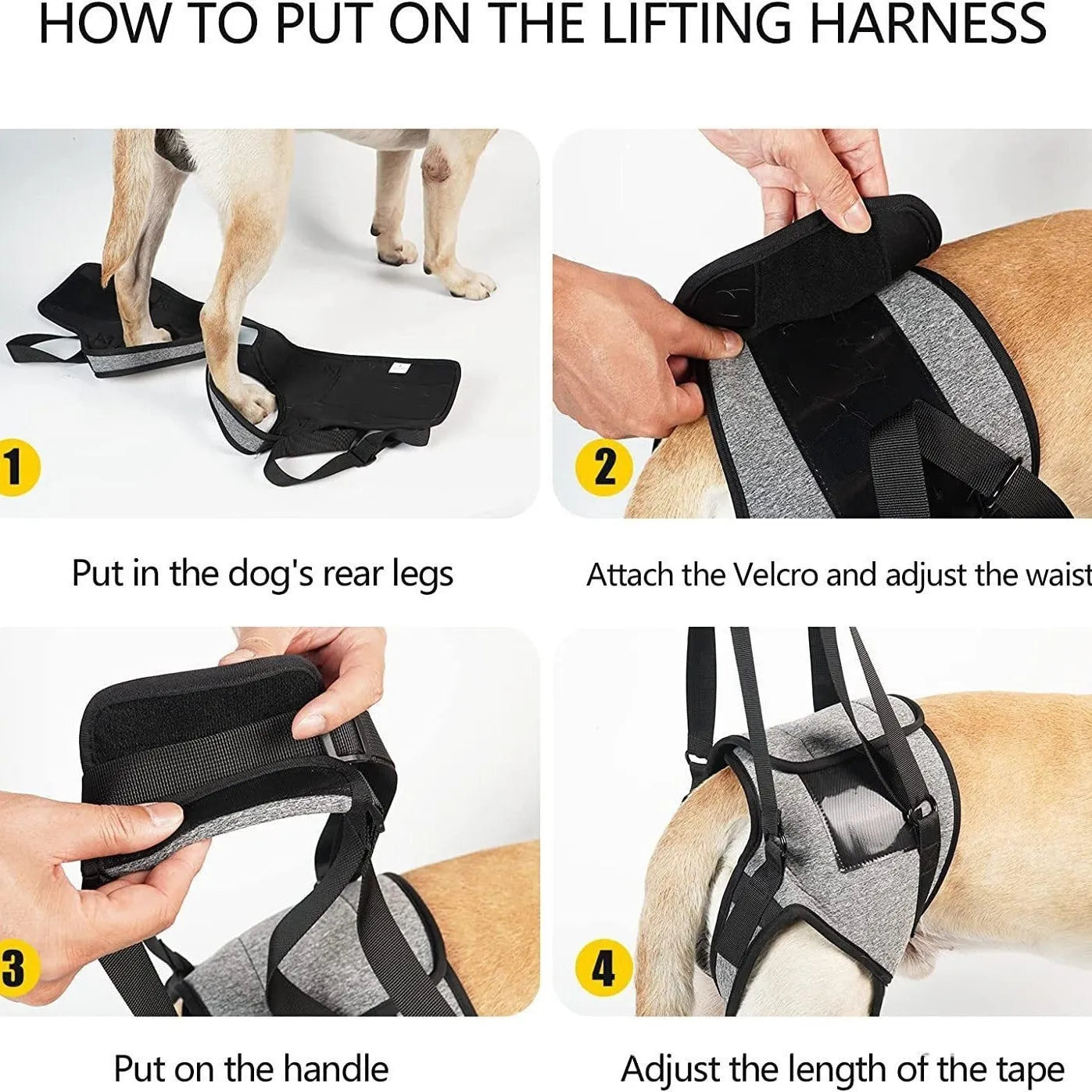 Grey neoprene dog rear leg recovery support belt with adjustable straps shown on size chart.