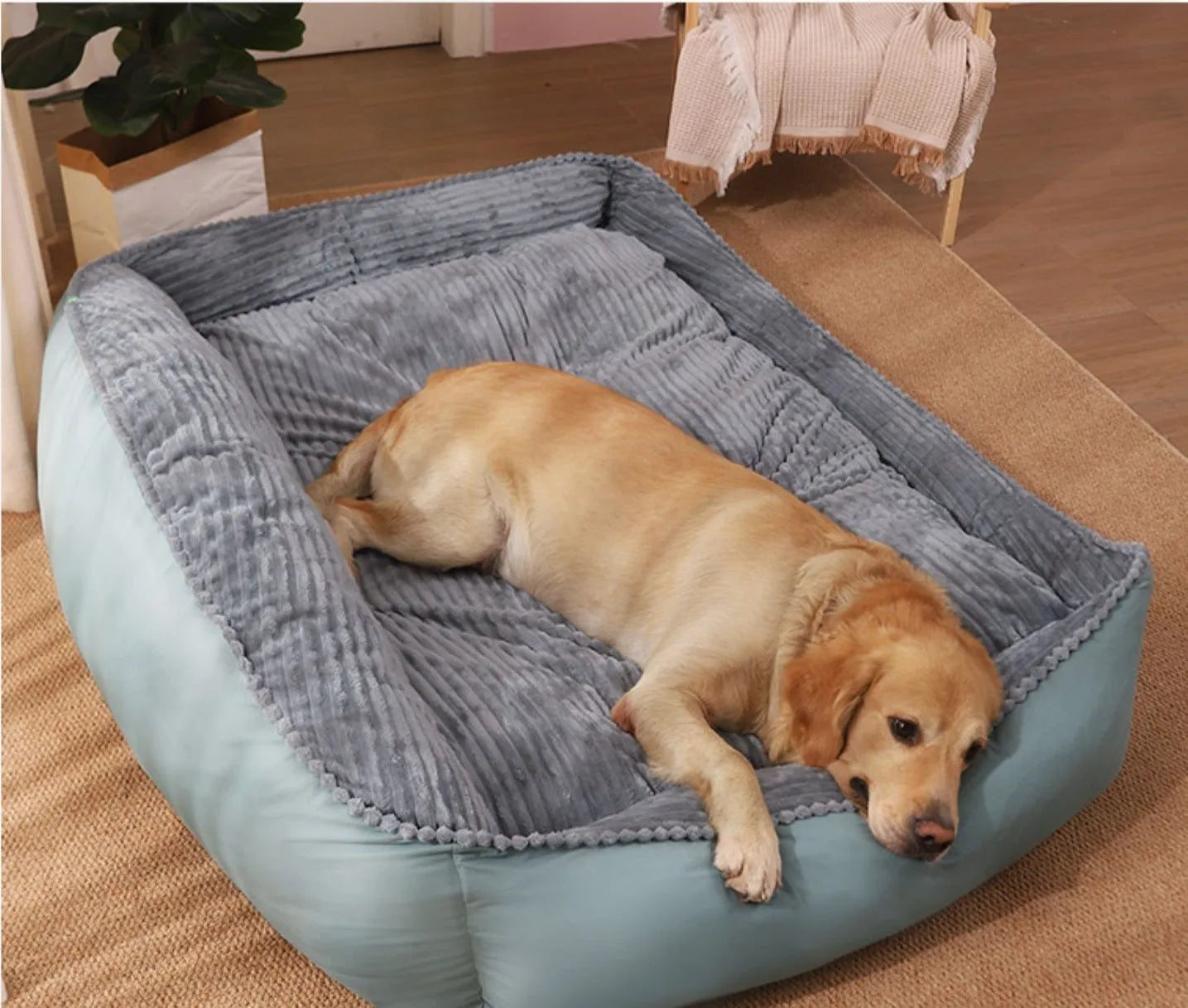 Winter warm removable washable dog kennel bed in Light Green with velvet and imitation leather construction