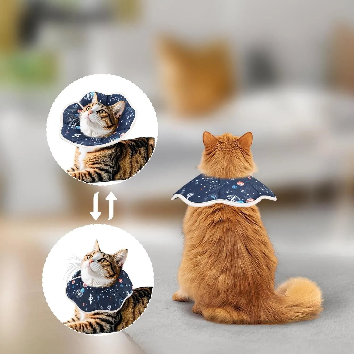 Soft adjustable cat recovery cone collar in constellation pattern on a small cat