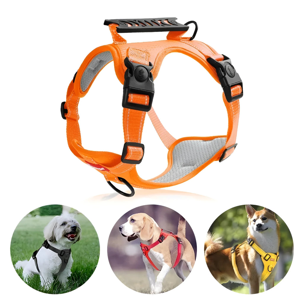 Polyester dog chest harness with attached leash in assorted colours on a white background.
