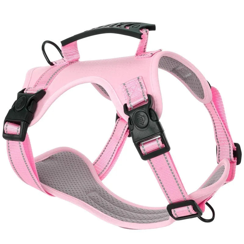 Polyester dog chest harness with attached leash in assorted colours on a white background.