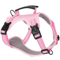 Polyester dog chest harness with attached leash in assorted colours on a white background.