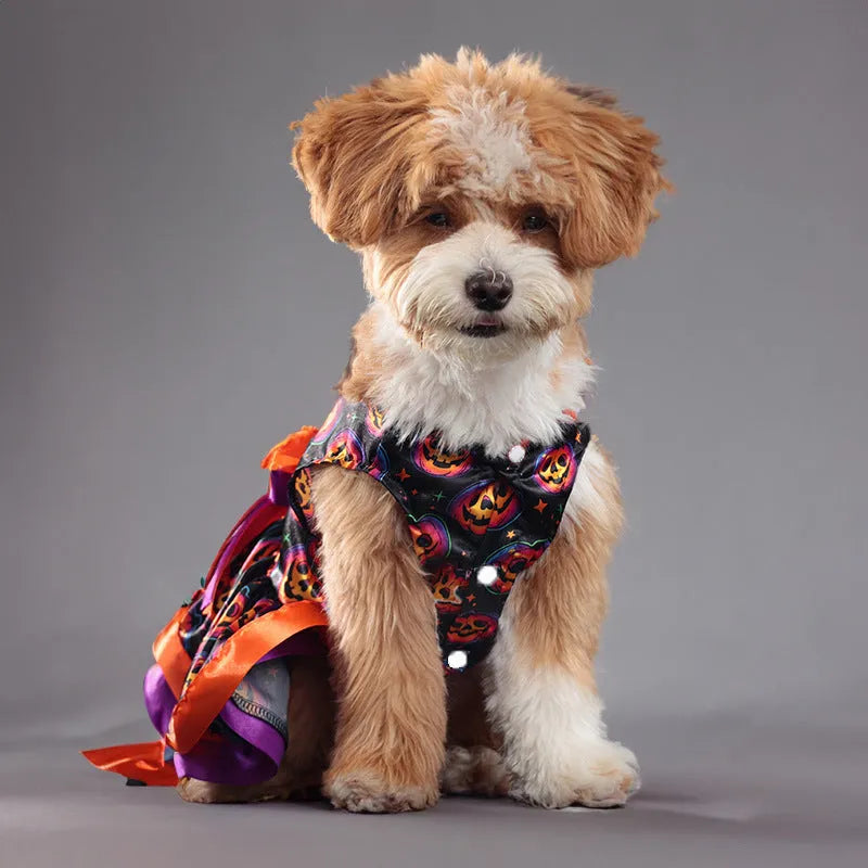 Halloween dog skirt with colourful pumpkin and skull prints in double-layer design