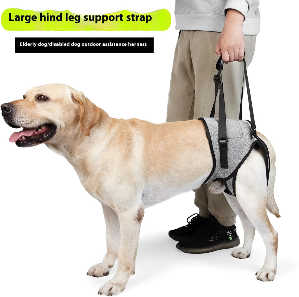 Grey neoprene dog rear leg recovery support belt with adjustable straps shown on size chart.