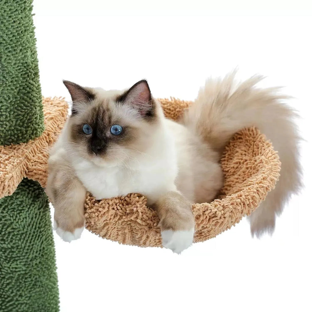 Solid wood cat climbing frame with integrated scratch board measuring 240-260cm tall