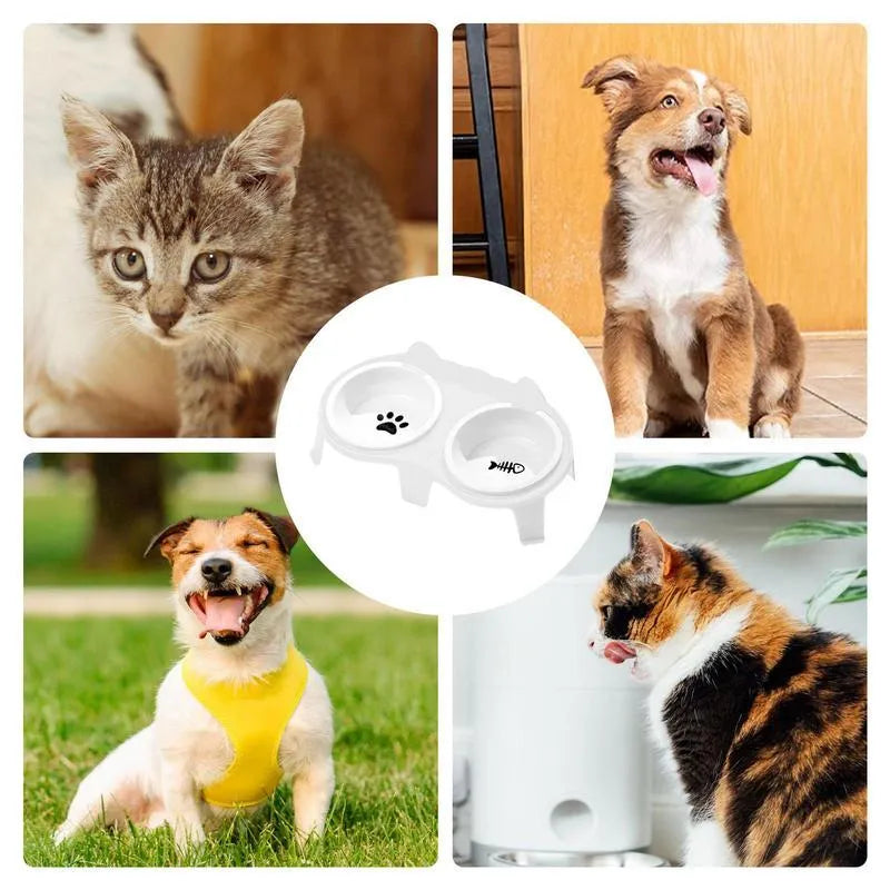 Ceramic cat bowl set with elevated tilted design on ABS stand, blue colour option