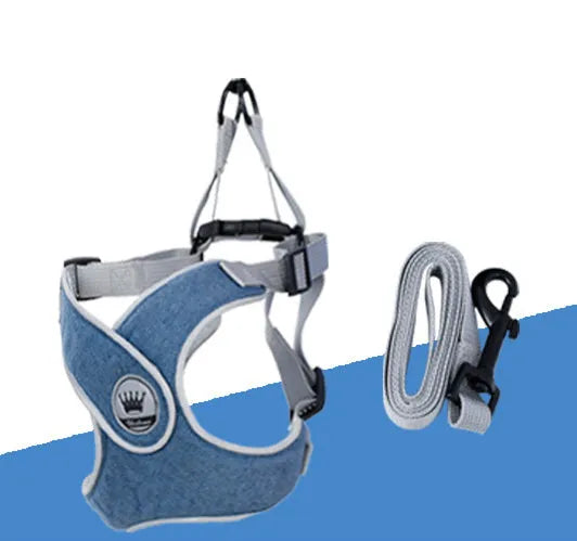 Green adjustable mesh dog harness with reflective strips and a metal D-ring on a dog.