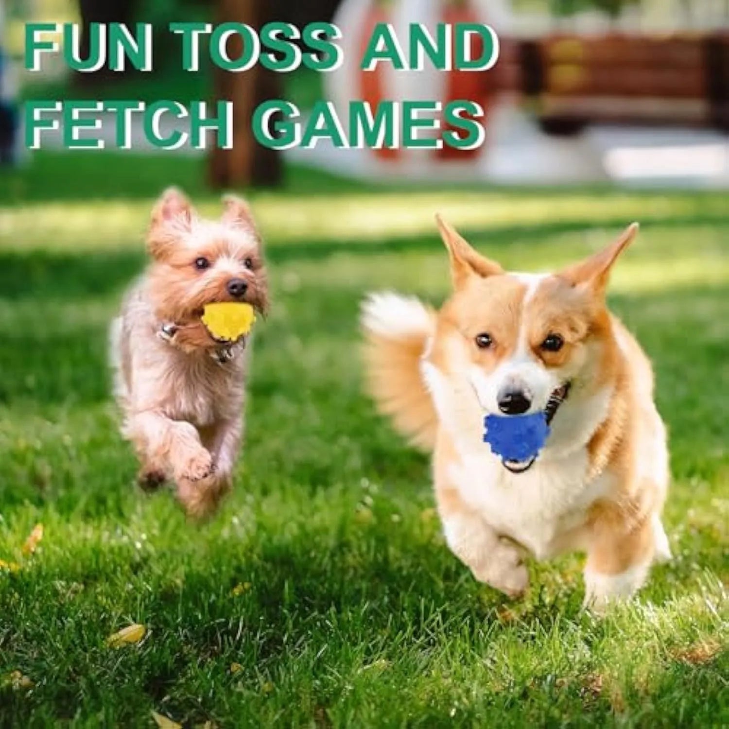 Bright coloured spiky dog toy balls for small puppies with squeaky features