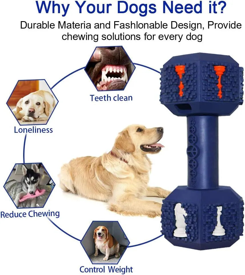 Blue durable rubber dumbbell dog chew toy with textured surface for dental cleaning.