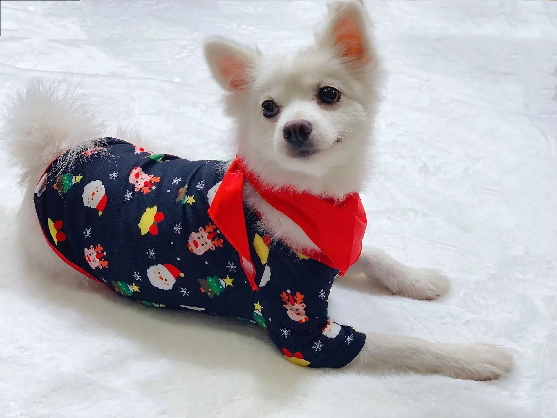Family wearing matching red plaid Christmas pajamas with dog in matching pet pajamas