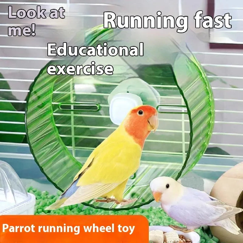 Parrot exercise running wheel toy in plastic with transparent, green, grey, orange, and purple colour options