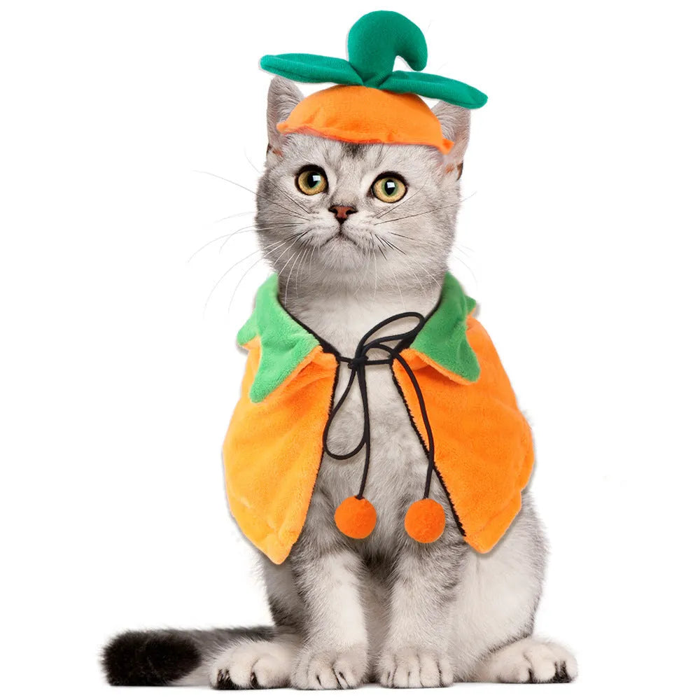 Halloween pumpkin double-sided dog cloak cat costume in plush fabric