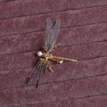 Golden electroplated dragonfly side clip headdress for women with detailed insect design