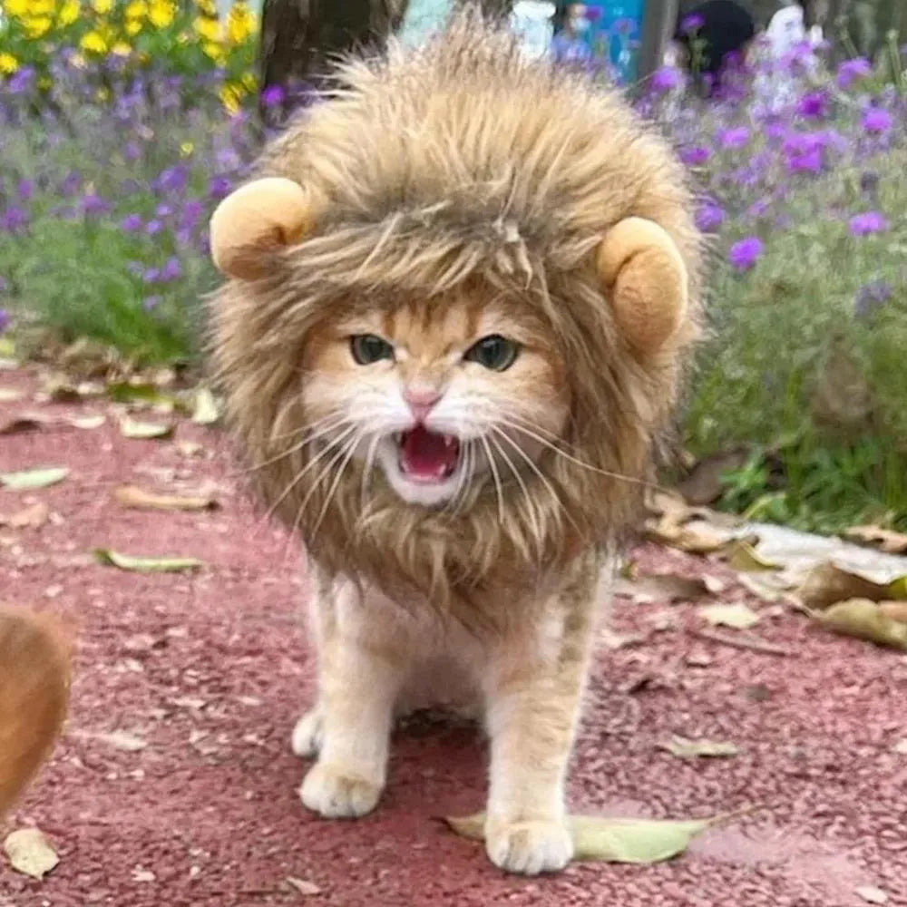 Lion mane wig for cats on a pet, showing adjustable band and realistic artificial hair.
