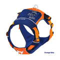 Orange blue nylon dog chest strap vest with hand rope lead shown on medium-sized dog